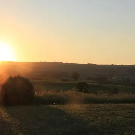 Marta Santillana del Mar